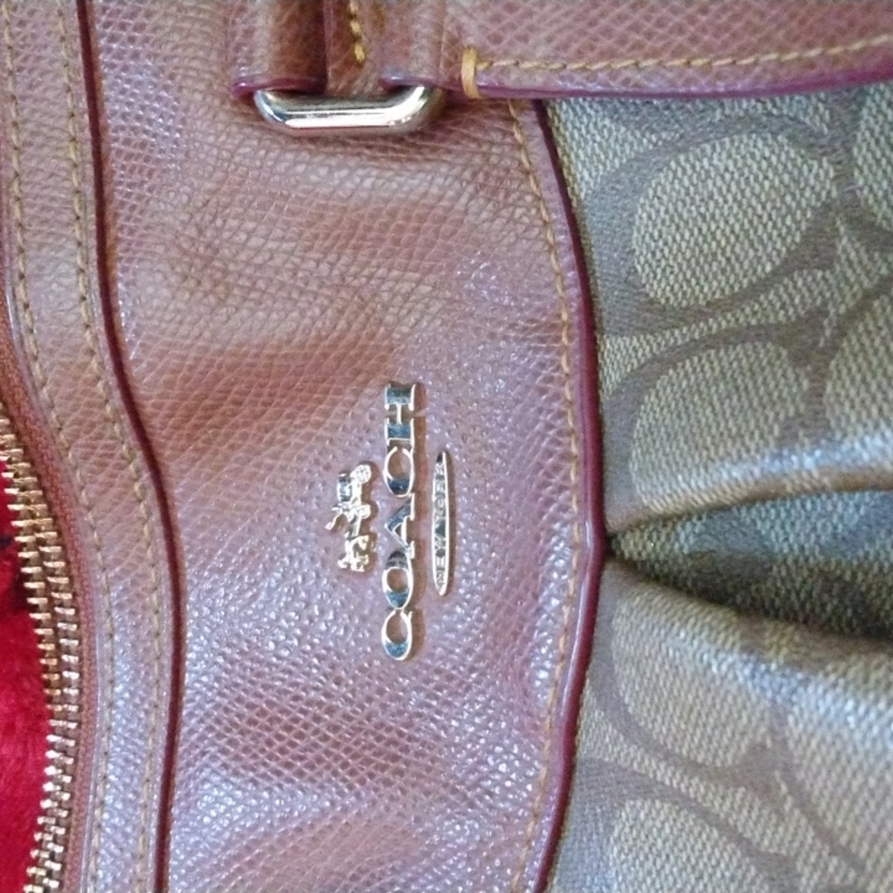 Coach - Picture 4 of 6